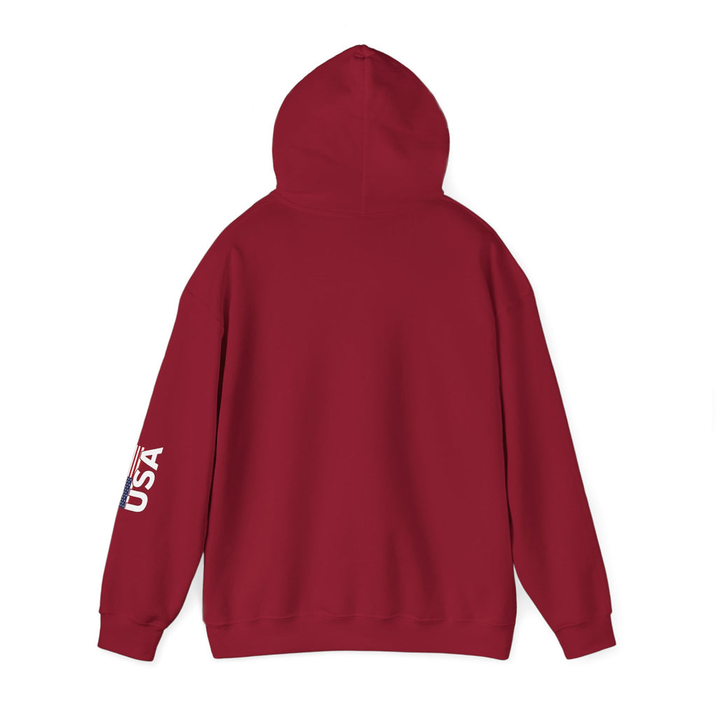 American Flag Military Hoodie Sweatshirt, Patriotic Soldier Gift, Veteran Apparel, Home Of The Free, Unisex Pullover, Patriotic Hooded