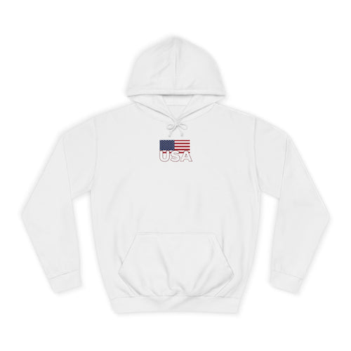 American Eagle with Flames and USA Flag Design