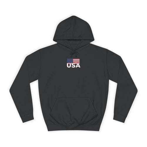 American Eagle with Flames and USA Flag Design